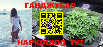дмт Гай