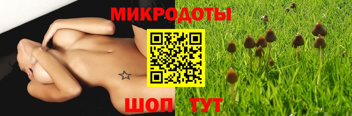 Псилоцибиновые грибы ЛСД Чистополь