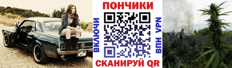 Конопля гибрид  Чистополь 